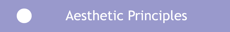 Aesthetic Principles banner