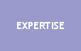Aesthetic Universals: Expertise page